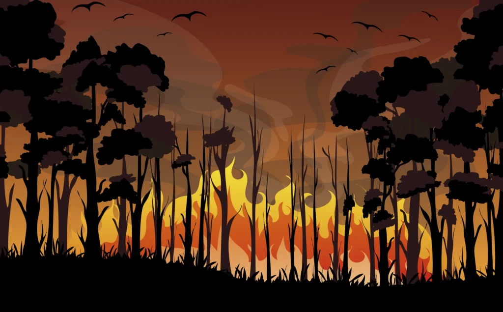 Armesto & Bardal abogados en León - Resumen Decreto-Ley 2/2025