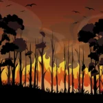 Armesto & Bardal abogados en León - Resumen Decreto-Ley 2/2025